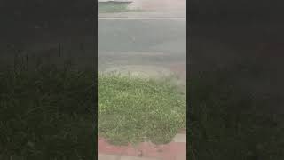 Flood in Pakistan flood live