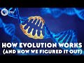 Exploring the Mechanisms of Evolution