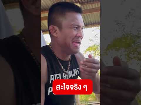 สะใจจริงๆ😝 บัวขาว VS แสนชัย #Shorts | Buakaw Banchamek