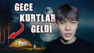 ISSIZ ORMANDA BİR GÜN GEÇİRMEK!