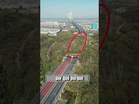 ¿Por qué no simplemente rodear o aplanar la montaña?" 🚧🏔️🤯
