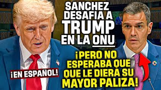 TRUMP se VENGA de SÁNCHEZ en la CUMBRE de la ONU ¡¡POR DESAFIARLE  y ALIARSE CON EL TERRORISMO!!