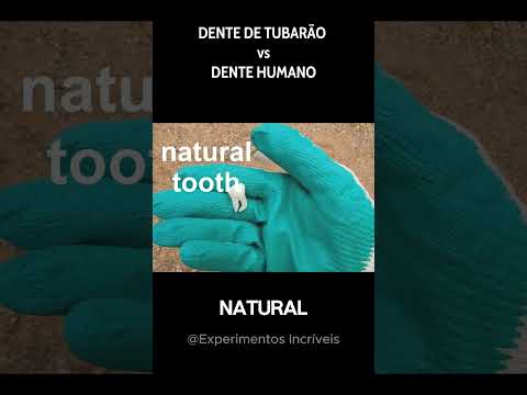 DENTE HUMANO vs DENTE DE TUBARÃO na PRENÇA HIDRÁULICA