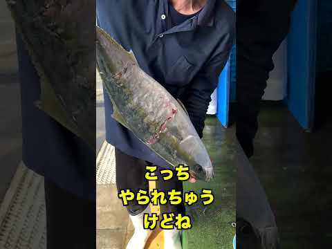 傷だらけなのに食べれるの