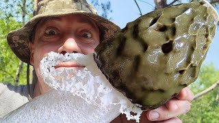 ВЕСЁЛКА - БОМБА замедленного действия!!! Взрывоопасный гриб!