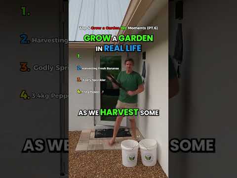 Ranking Top 4 Best Grow a Garden IRL Moments 🌶️☀️ (PT.6)