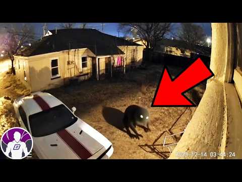 TOP Videos De Fantasmas Más Impactantes Enviados Por Mi Audiencia