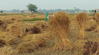 Mera Khet 🙂