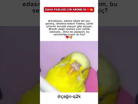 Evime değil, kalbime yerleşti bu küçük misafir♥️🥰