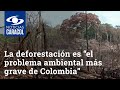 Deforestación en Colombia: Preguntas Clave