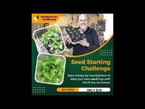 Join the 2025 Seed Starting Challenge!!