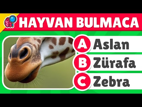 Hayvan Bulmaca Yarışması 🐒🔍 Gizemli Hayvan Bulmacaları 🦒🧩