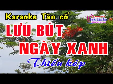 Karaoke tân cổ LƯU BÚT NGÀY XANH – THIẾU KÉP [Hát cùng Thu Trang]