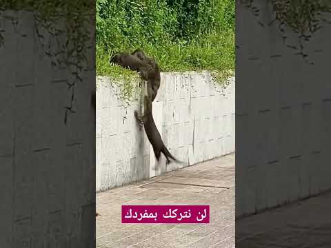 لم يتم ترك أحد من العائلة.. .???