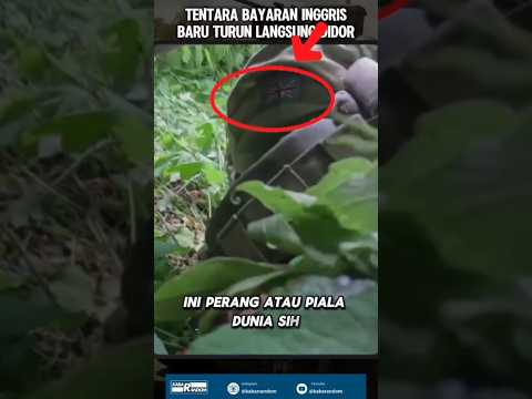 Tentara Bayaran atau Sisipan Tentara NATO?