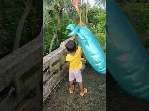 ডলফিন গাছের পাতা খেয়ে নিলো #funny #yt #youtubeshorts #viralvideo #viral #vlog #toys #boni #shorts