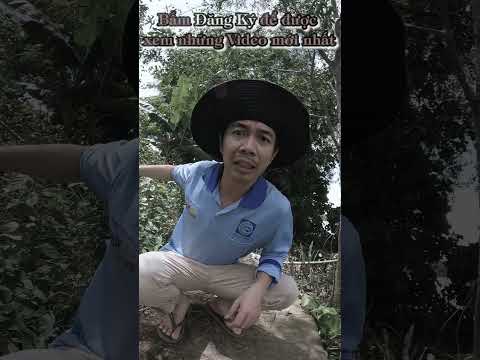 Anh Khoai Lang | Chị đi tìm Em [Phần 3] #shorts