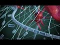 Smart Biomaterials and Wound Healing