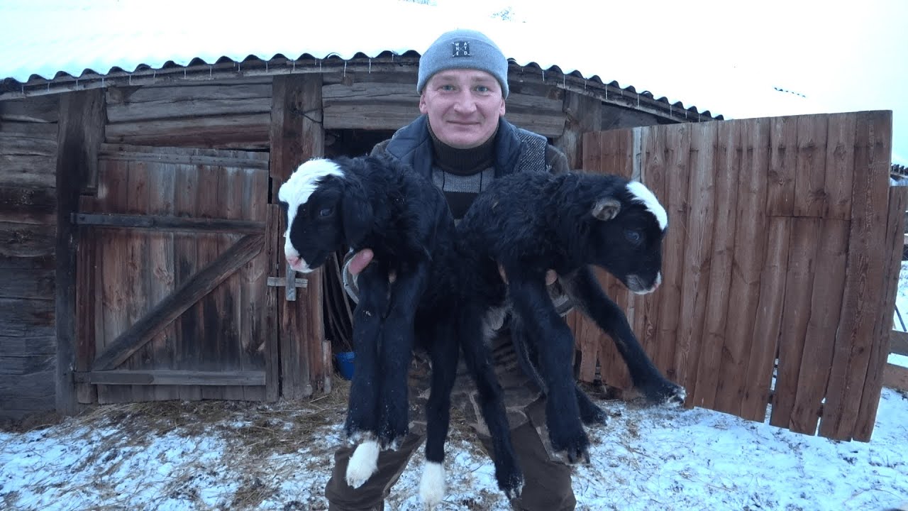 Такого я от них не ожидал! 225