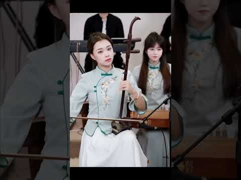 花妖 #中国音乐 #chinesemusic #古筝 #笛子 #二胡 #唐音