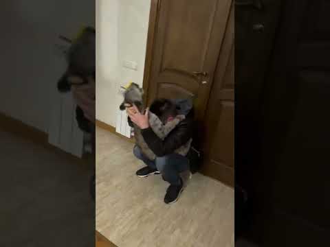 Вот так нужно встречать мужа с работы.