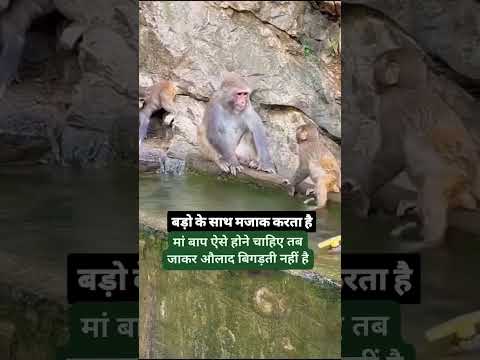 बड़ों से मजाक करता है #arvindcomedy108