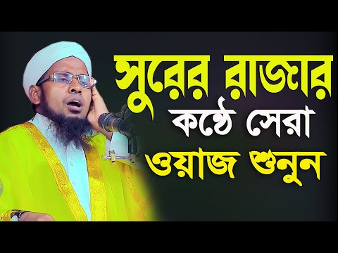 সুরের রাজার কন্ঠে সেরা ওয়াজ শুনুন মাওলানা এখলাছুর রহমান সিদ্দিকী 01732547397