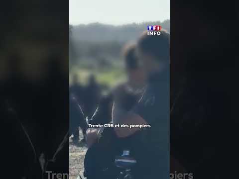 Rave-party en Lozère : des agriculteurs délogent des fêtards｜TF1 INFO
