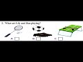 Lily and Dan's Game Preferences