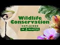 Wildlife Conservation Challenges and Strategies