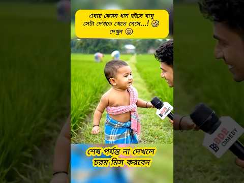 কেমন ধান হইসে সেটা দেখতে বাবুটি ক্ষেতে গেসে | Viral Newborn baby Funny Video