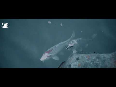 LUCIANO - EISKALT (BBR-VIDEO)(Remix)(prod. by DUN TALKIN)