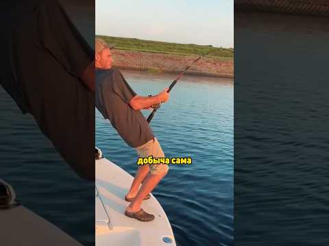 Неожиданный улов #новости #животные #shorts #рыбалка