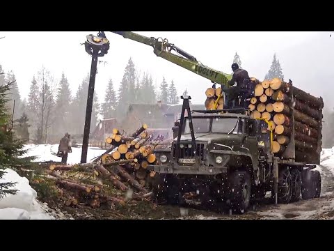 Les montagnards des Carpates face à la déforestation illégale