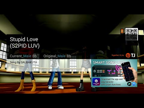 Stupid Love | SALBAKUTA | Karaoke | HD