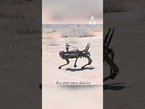 Des Robots-Chiens Militaires Testés à Gaza par Israël ! 😨 #shorts