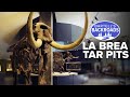 La Brea Tar Pits Facts