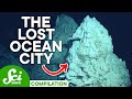 Geological Features and Marine Life