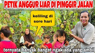 PERDANA PANEN ANGGUR LIAR  DI PINGGIR JALAN,TRAGEDI MBAK ASTRID TERKUNCI DI KAMAR MANDI ‼️