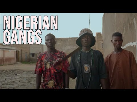 Meet the Youth who run the Gangs in Kano State, Nigeria  | Free Doc Bites