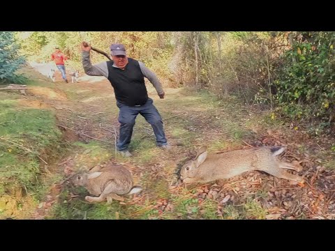 Primera Versión Campeonato De Caza Trehuaco 2025 Cacería de conejos con Perro Galgo