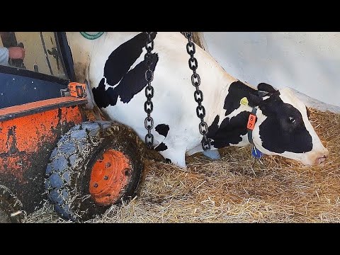 MIND-BLOWING: New JCB Hybrid Equipment Does the IMPOSSIBLE Off-Road 🚜💨
