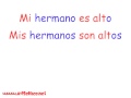 Spanish Adjective Agreement Explained