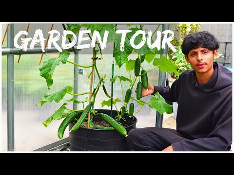 Trellis Ideas For Vegetable Garden | Early Summer Garden Tour And Harvest
