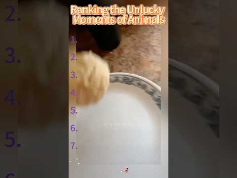 #illustration #tattoo #art #pov #procreate #drawing #whydidntmyexcomeback #digitalart