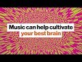 Brain FM and Evolutionary Distractions