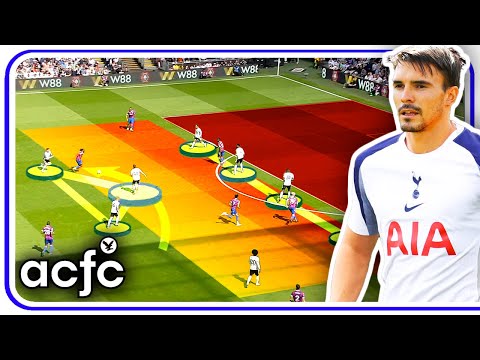 Why Thomas Frank's Tottenham NEEDS João Palhinha