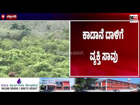 ಬೆಳ್ತಂಗಡಿ - ಕಾಡಾನೆ ದಾಳಿಗೆ ವ್ಯಕ್ತಿ ಸಾ**ವು