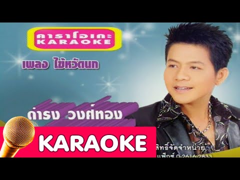ไข้หวัดนก – ดำรง วงศ์ทอง [Karaoke]