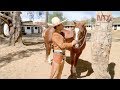 Identidad y Tradición de la Charrería